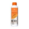 B-Vit